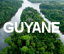 guyane miniature
